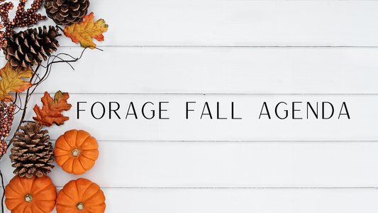 Forage Fall Agenda